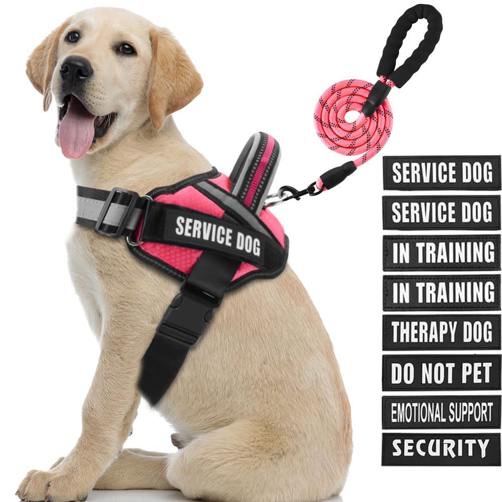 Arnés Animire para perro de servicio con parches identificativos.