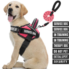 Arnés Animire para perro de servicio con parches identificativos.