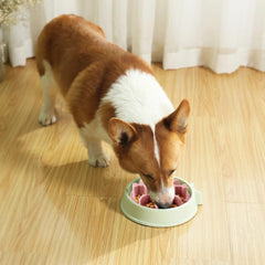 Animire base con ventosa, evita deslizamientos durante la comida.