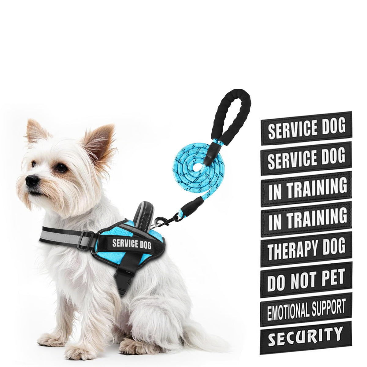 Animire chaleco servicio perro con parches, visible y expresivo para entrenamiento.