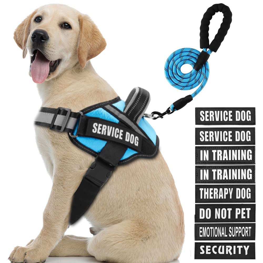 Animire chaleco de servicio para perro con parches visibles para indicar estado.