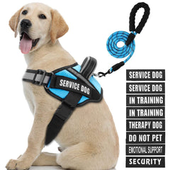 Animire chaleco de servicio para perro con parches visibles para indicar estado.
