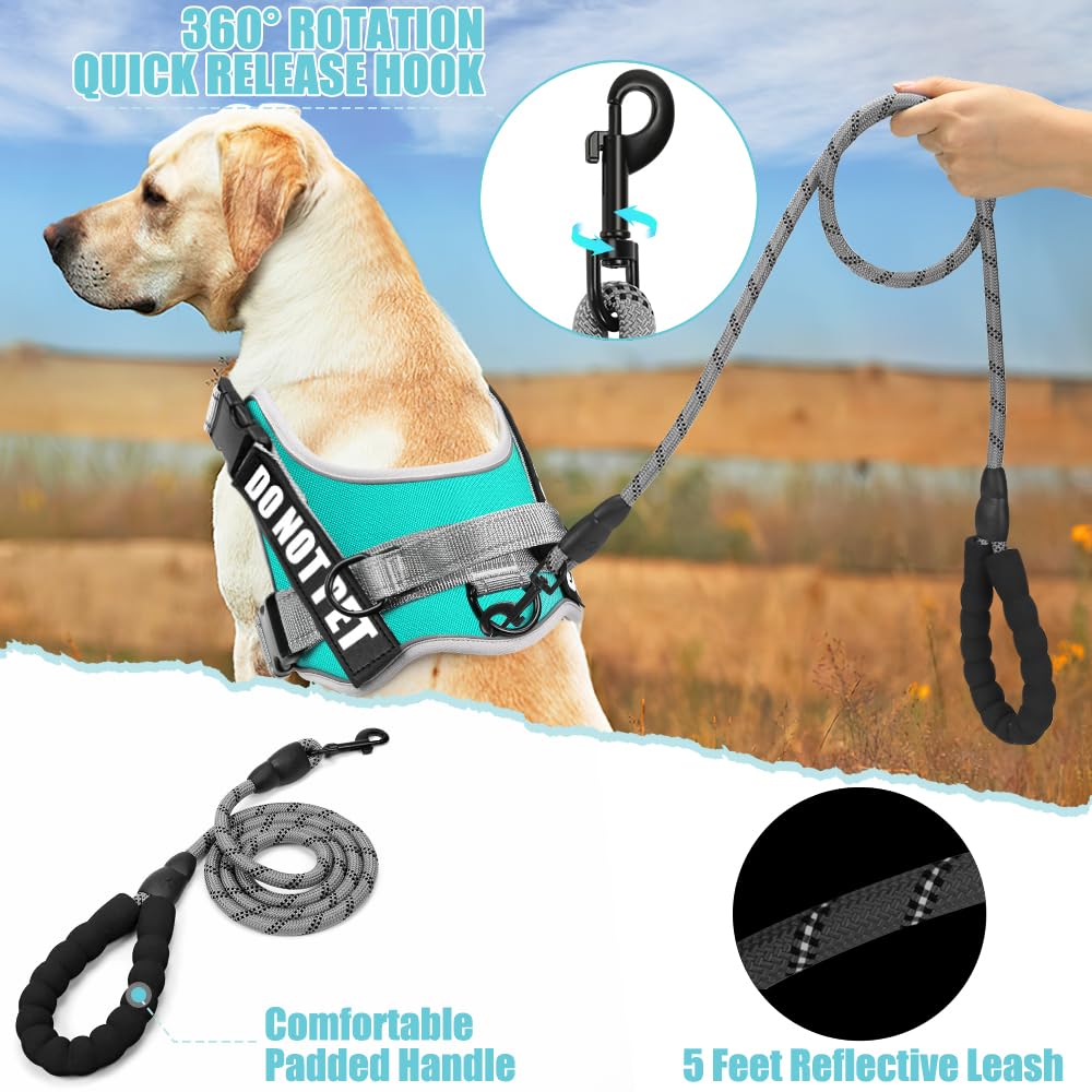 Animire diseño de tres anillos sin tirones, reduce la tensión durante caminatas.
