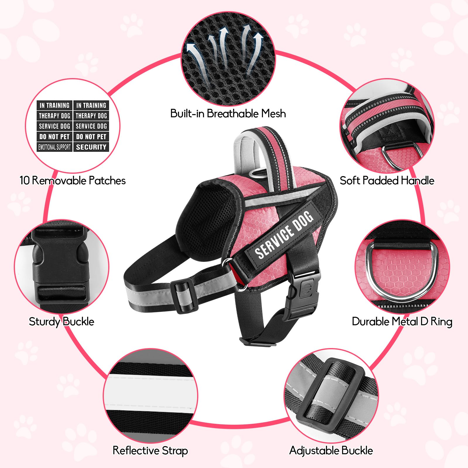 Nylon resistente del conjunto Animire para uso prolongado.