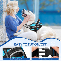 Animire parches brillantes para perro con indicaciones EN ENTRENAMIENTO y NO MOLESTAR.