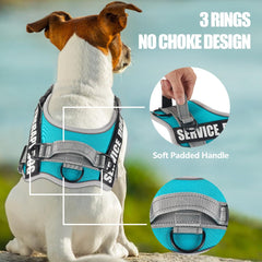 Animire parches intercambiables para perro, personaliza señales y estilo.