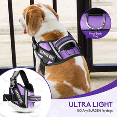 Animire parches para perro en entrenamiento, 10 diseños para comunicar estado o función.