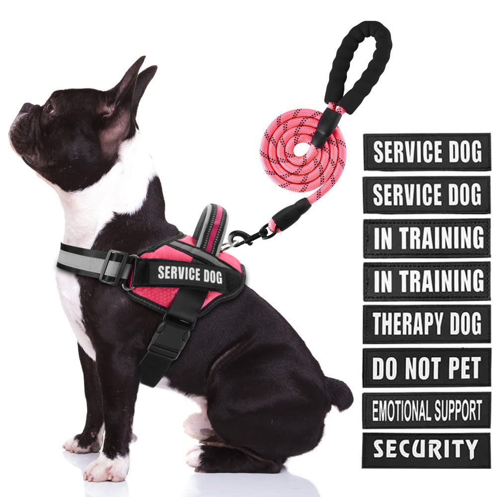 Animire arnés de servicio para perro, chaleco cómodo para control diario