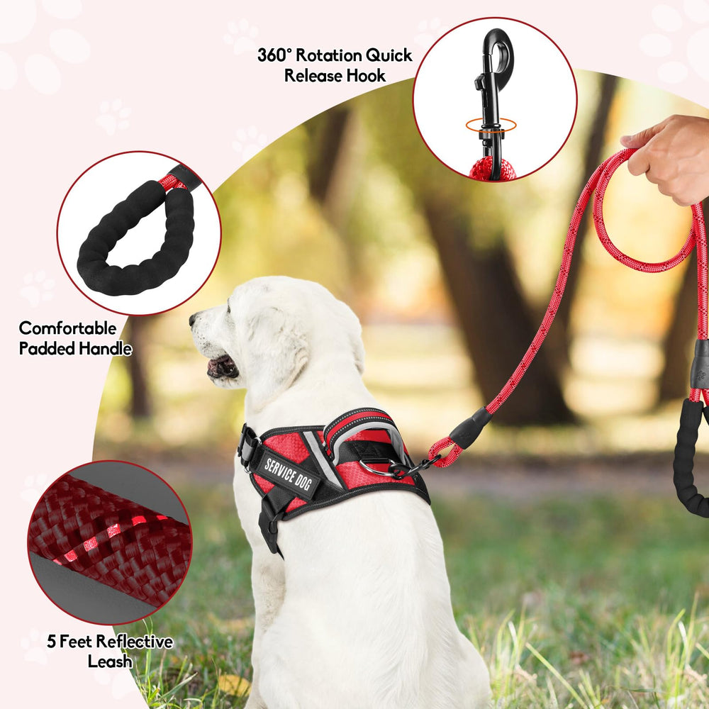 Animire tallas XS a XL para adaptarse a perros de todos tamaños