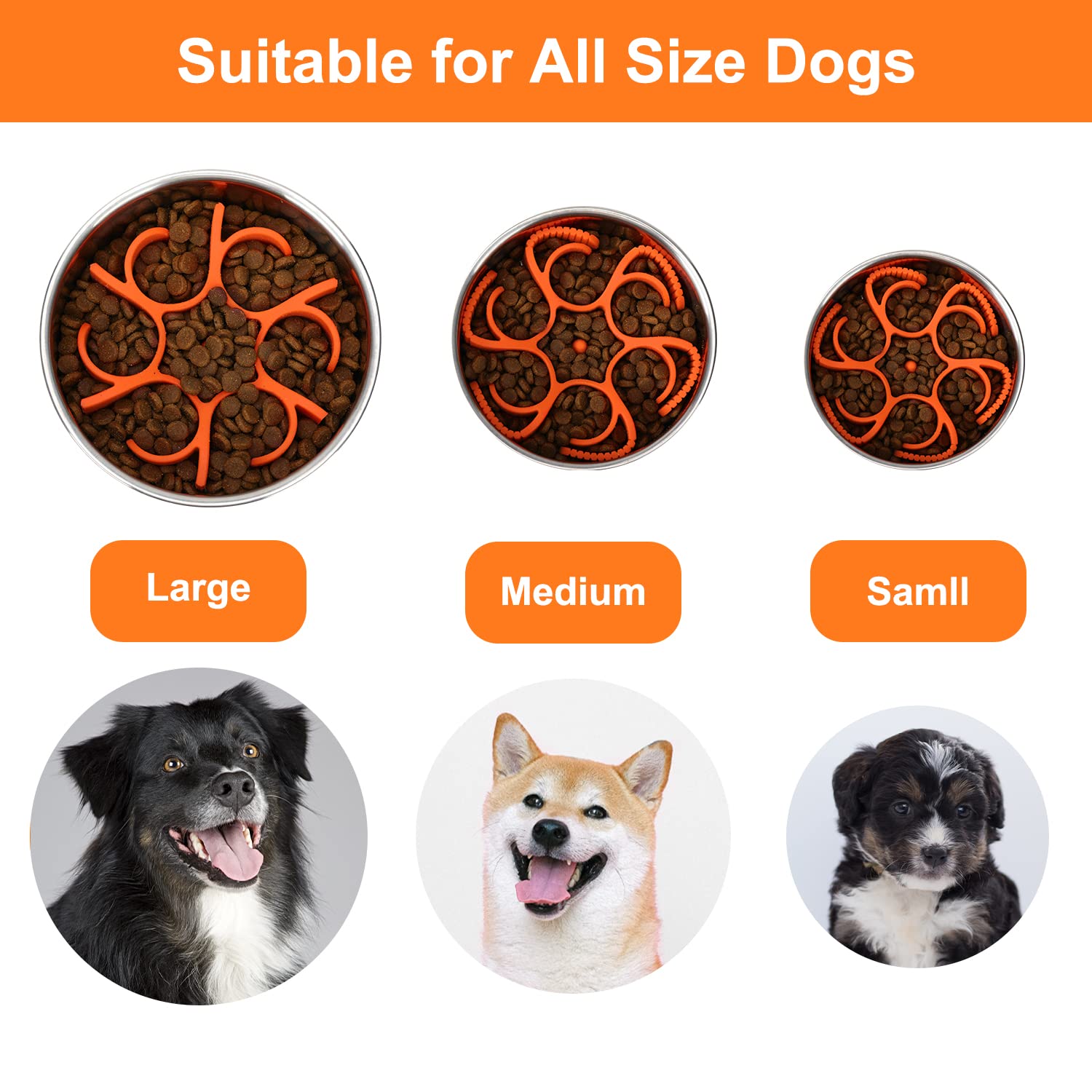 Anipaw fácil de limpiar: retira el inserto para lavar