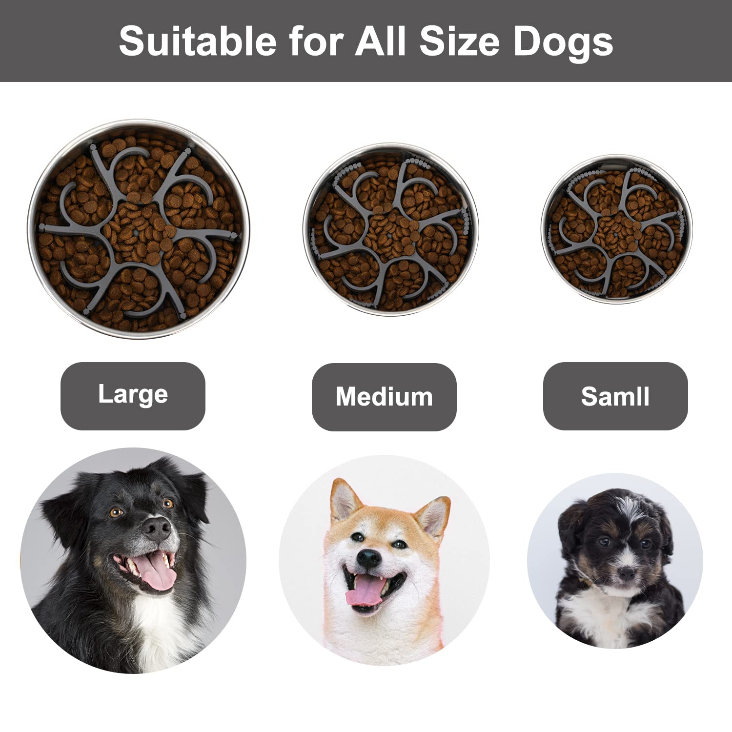 Anipaw limpieza fácil con diseño desmontable para lavado rápido.