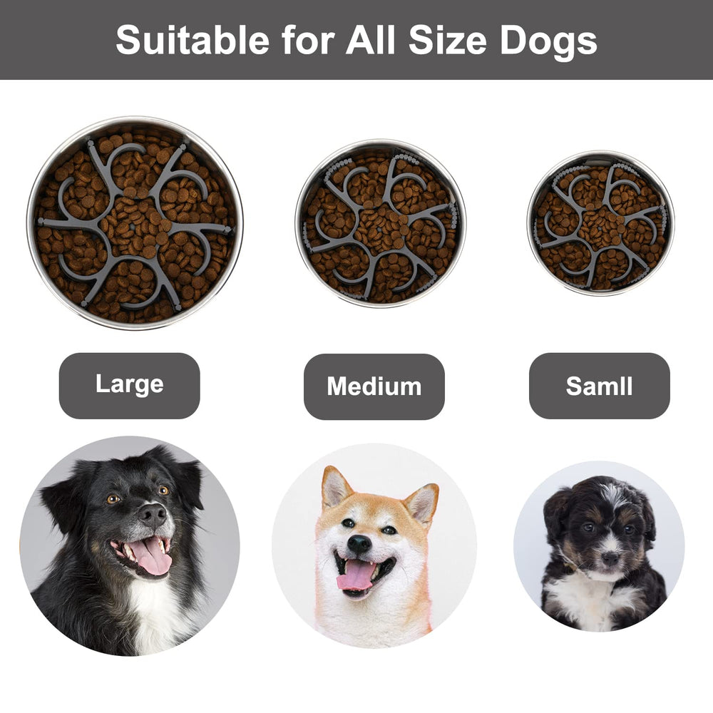 Anipaw limpieza fácil con diseño desmontable para lavado rápido.