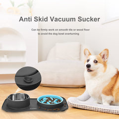 Anipaw mat silicona antideslizante: evita derrames durante la comida.