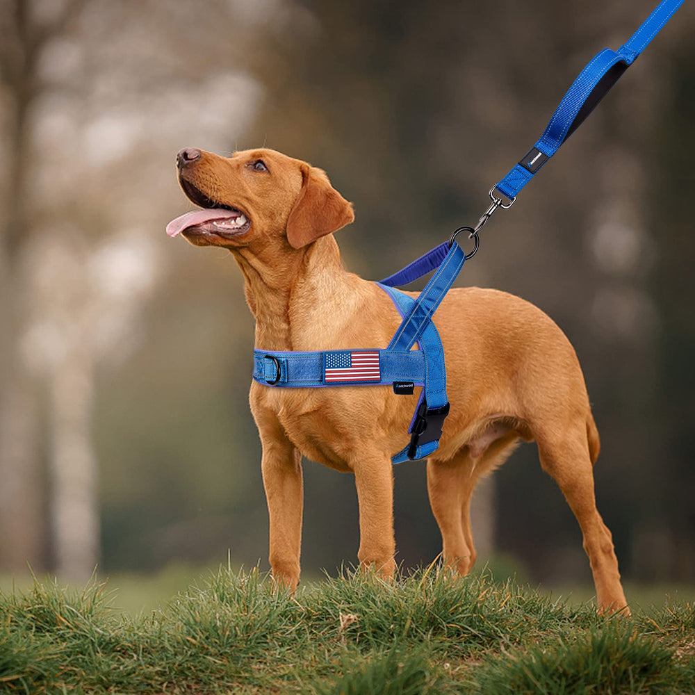 Arnés Annchwool disponible en tallas variadas para perros pequeños a grandes.