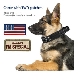 Annchwool collar táctico con parches y Velcro, personalizable para identificar al perro