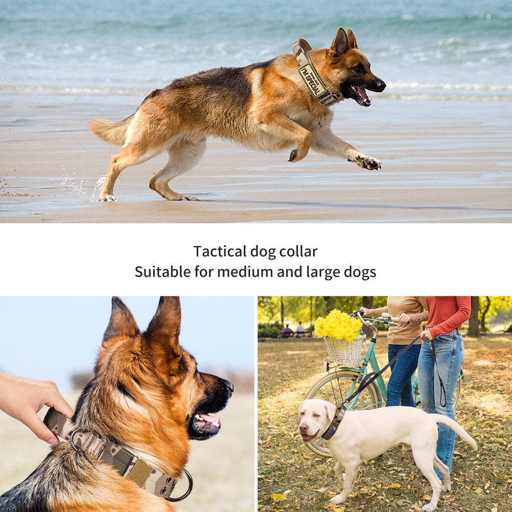 Usos prácticos de entrenamiento y actividades al aire libre con el collar táctico.