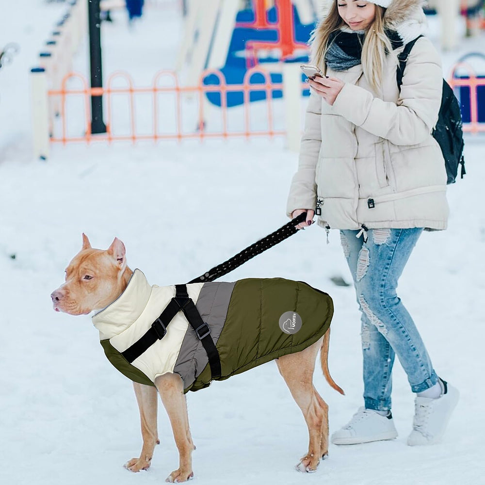 ANNICOO guía de tallas facilita elegir la talla adecuada para el perro verde.