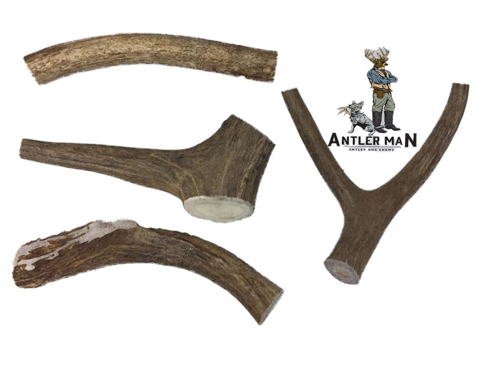 Mordedor natural Antler Man para perros, ideal para sesiones diarias.