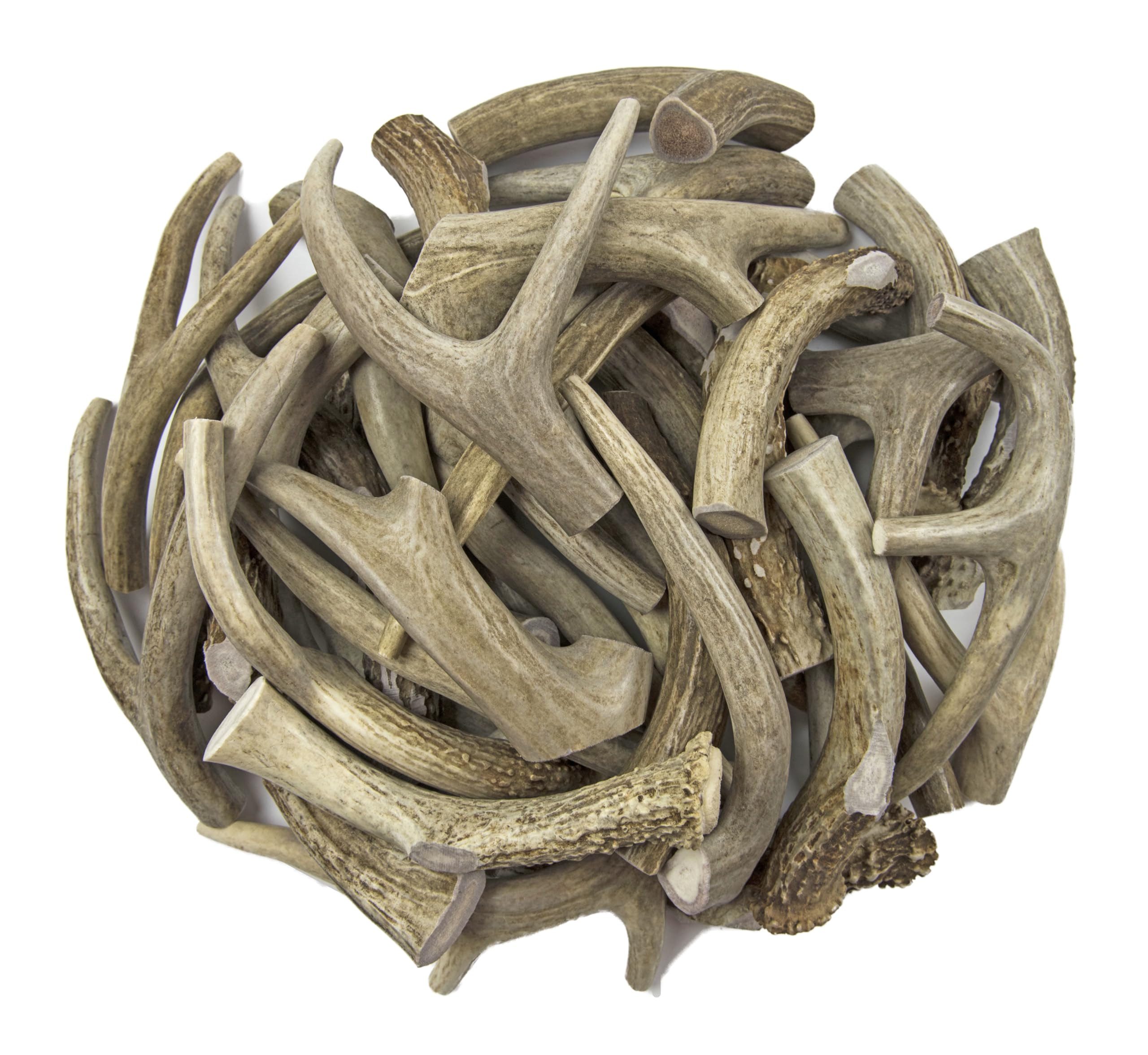 Piezas de cornamenta Antler Man para perro mediano.