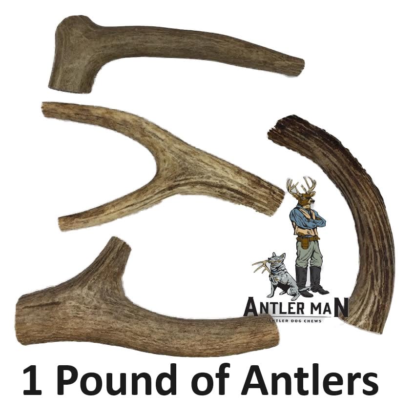 Textura natural de cornamenta Antler Man para masticación.