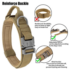 Collar de nylon resistente de Antswish ideal para paseos y tareas diarias.