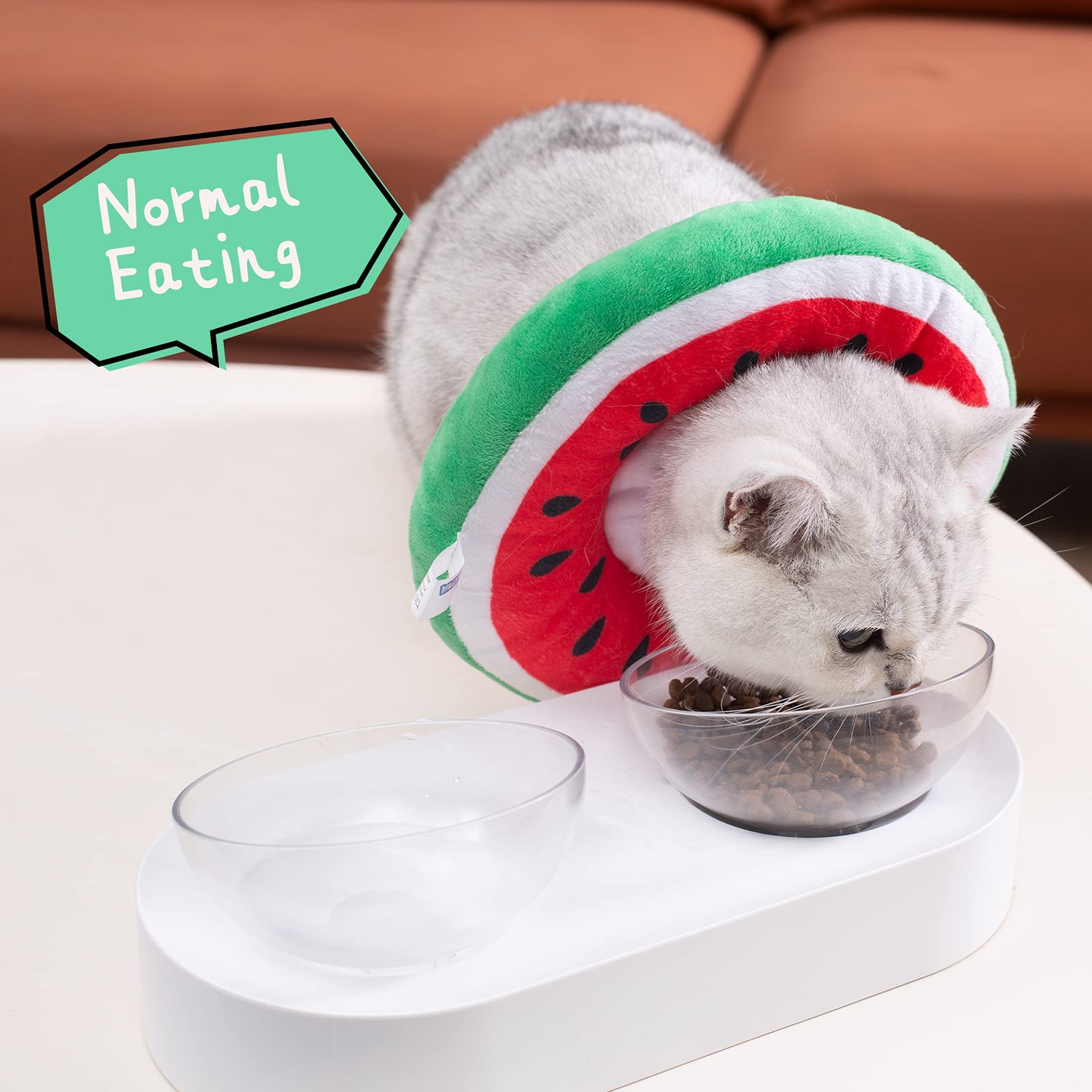 ANWA collar cono gato visión libre al comer y jugar
