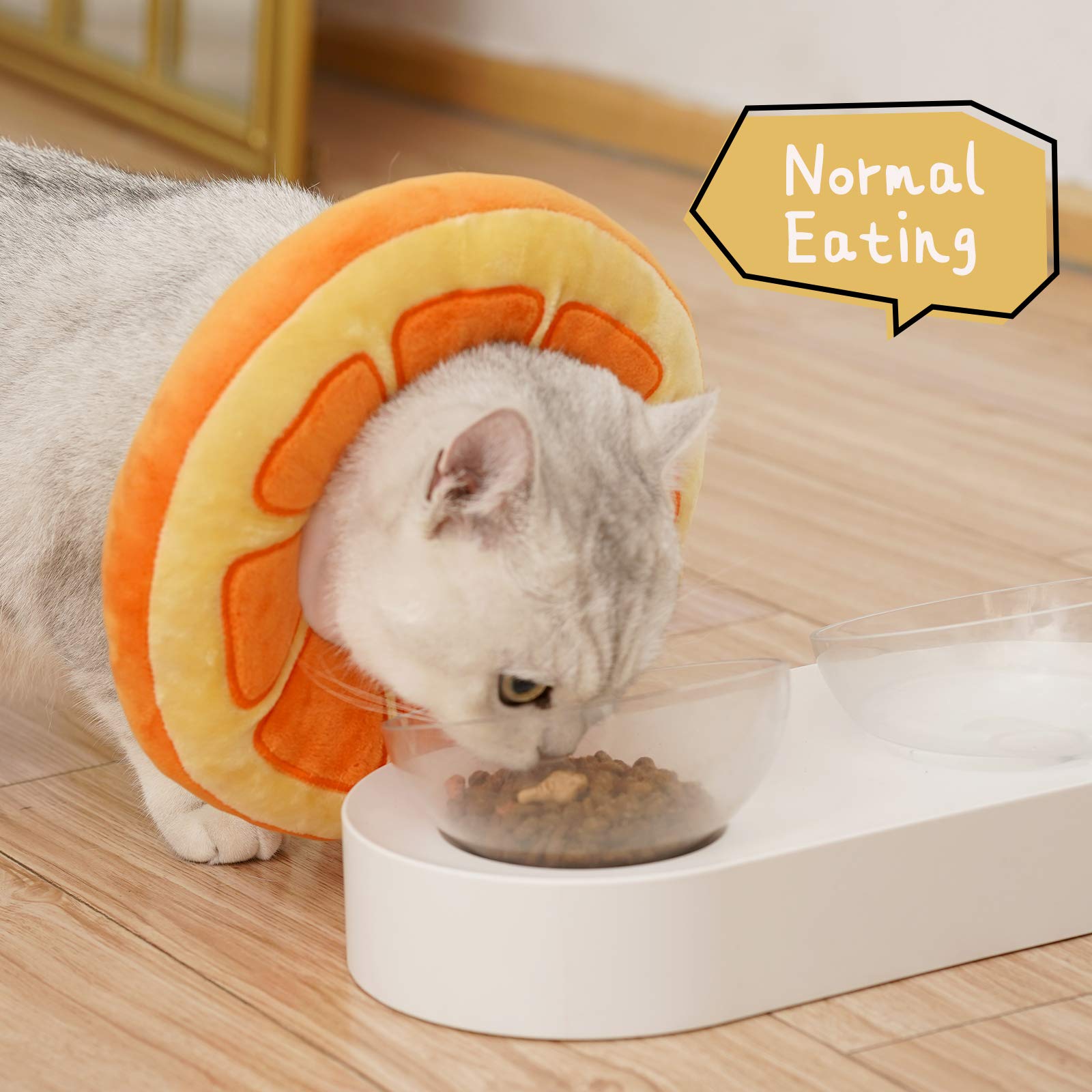 ANWA collar cono gato, permite comer y beber con facilidad.