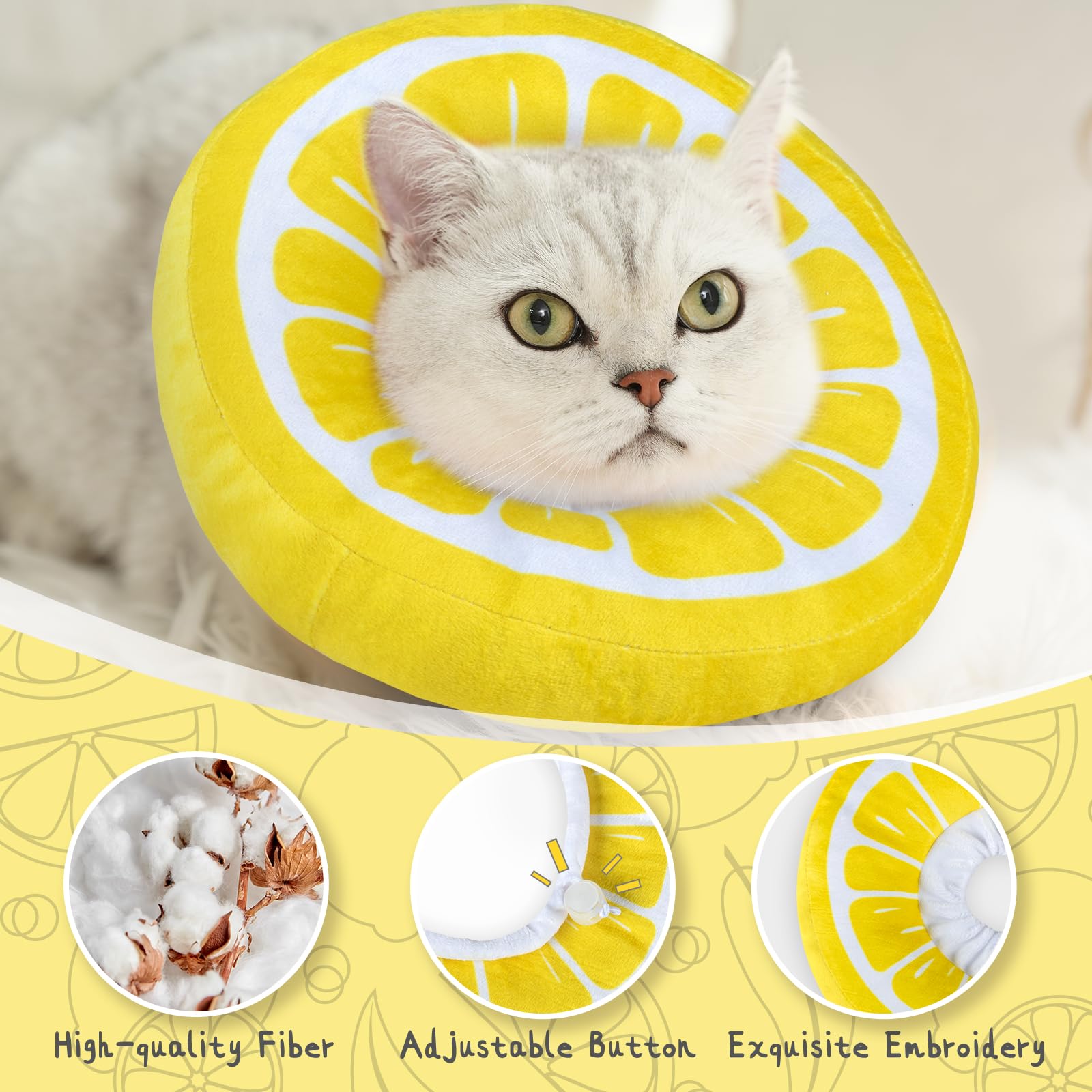 ANWA cono gato visión libre para comer