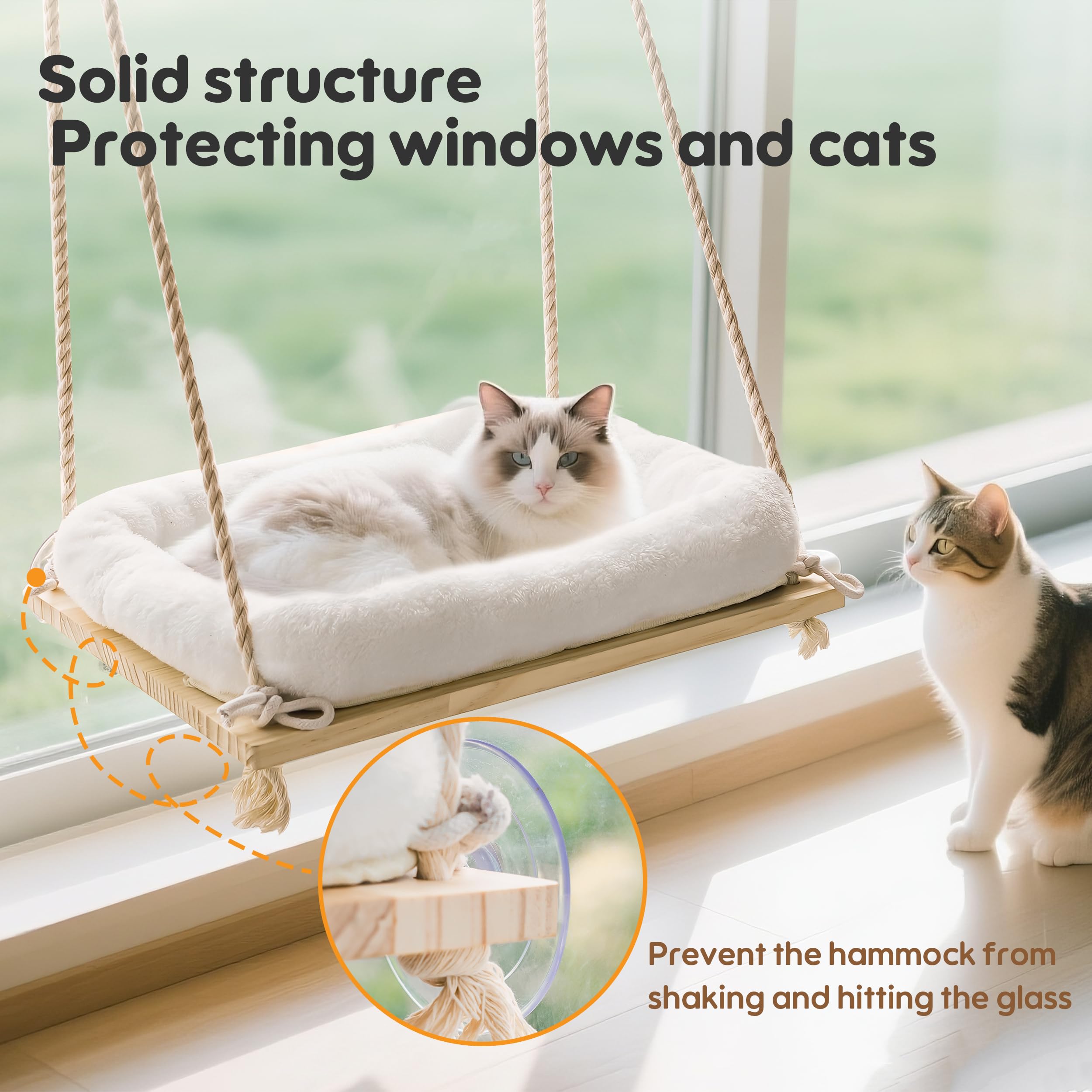 Anywish uso-diario sol y observación de aves desde la ventana.