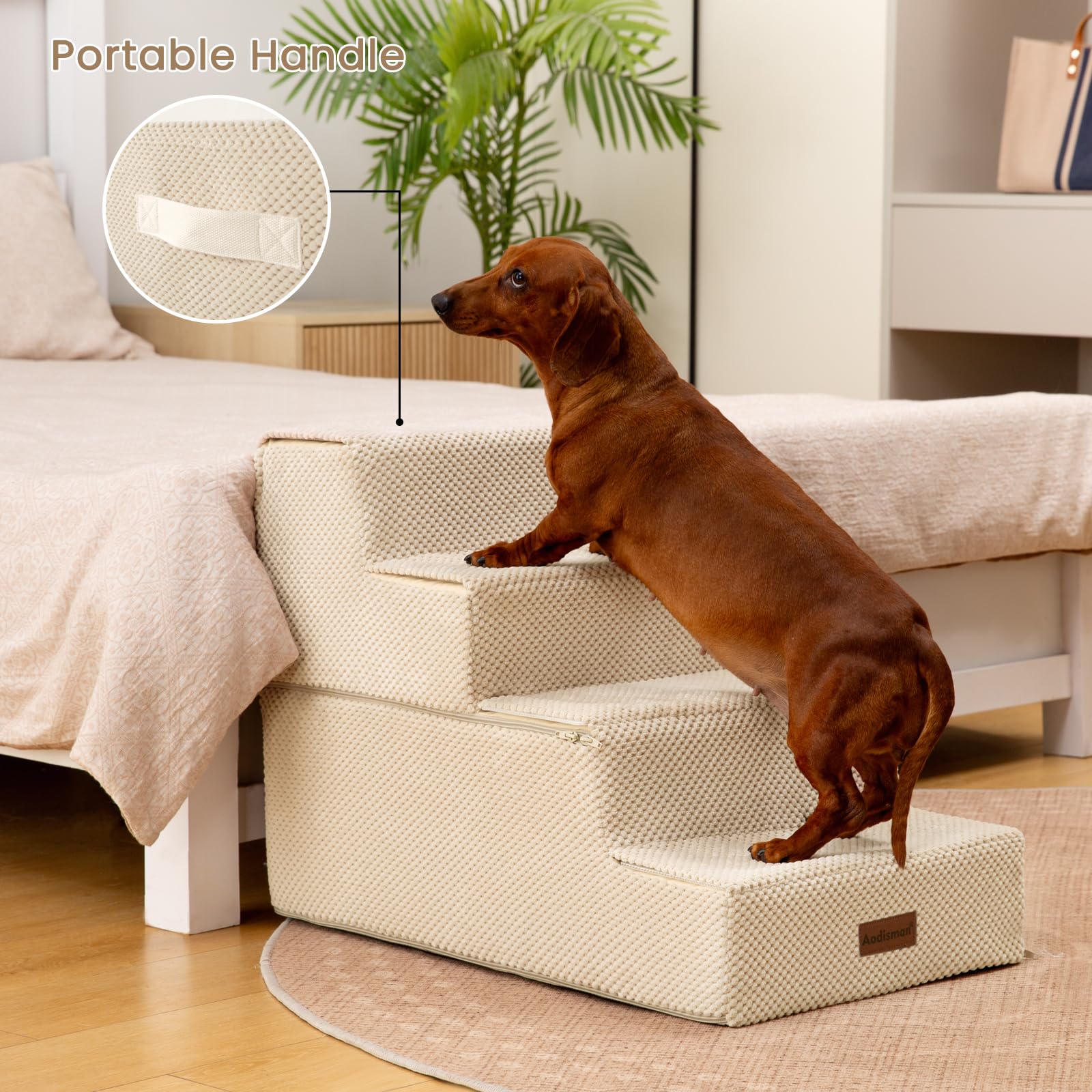 Aodisman aptas para perros pequeños y gatos.