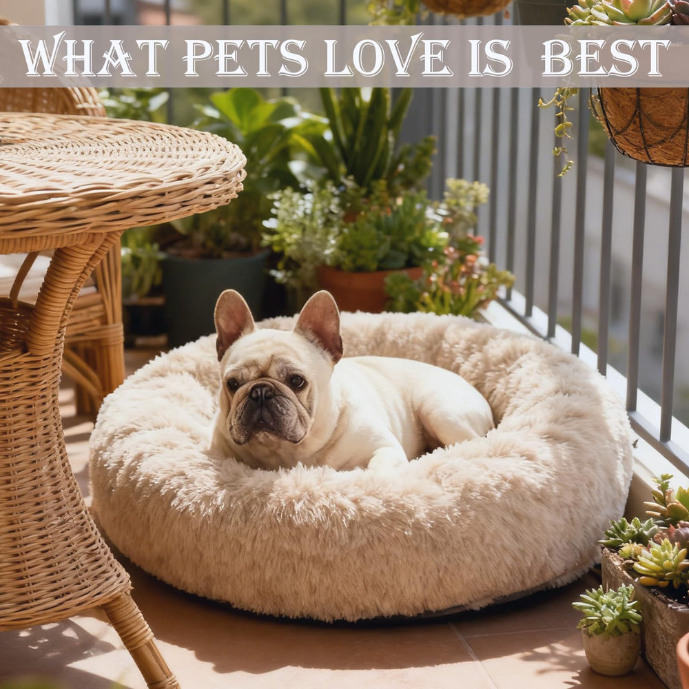 Base antideslizante de la cama Aofast que mantiene estable a tu mascota.