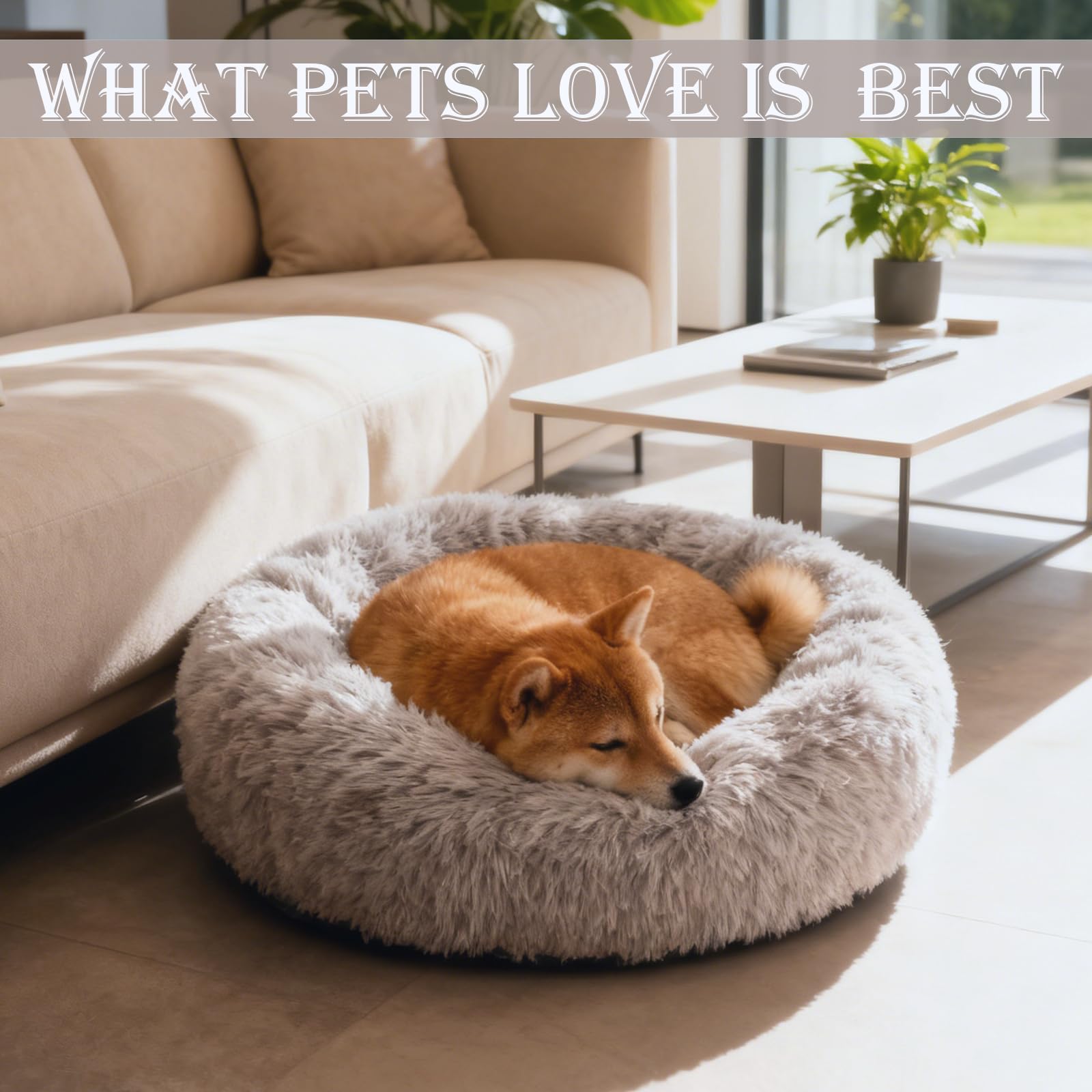 Diseño multiusos de la cama Aofast para perros y gatos en varios entornos