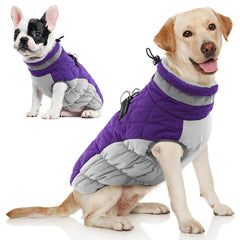 AOFITEE abrigo para perro con forro fleece cálido, ideal para paseos diarios.