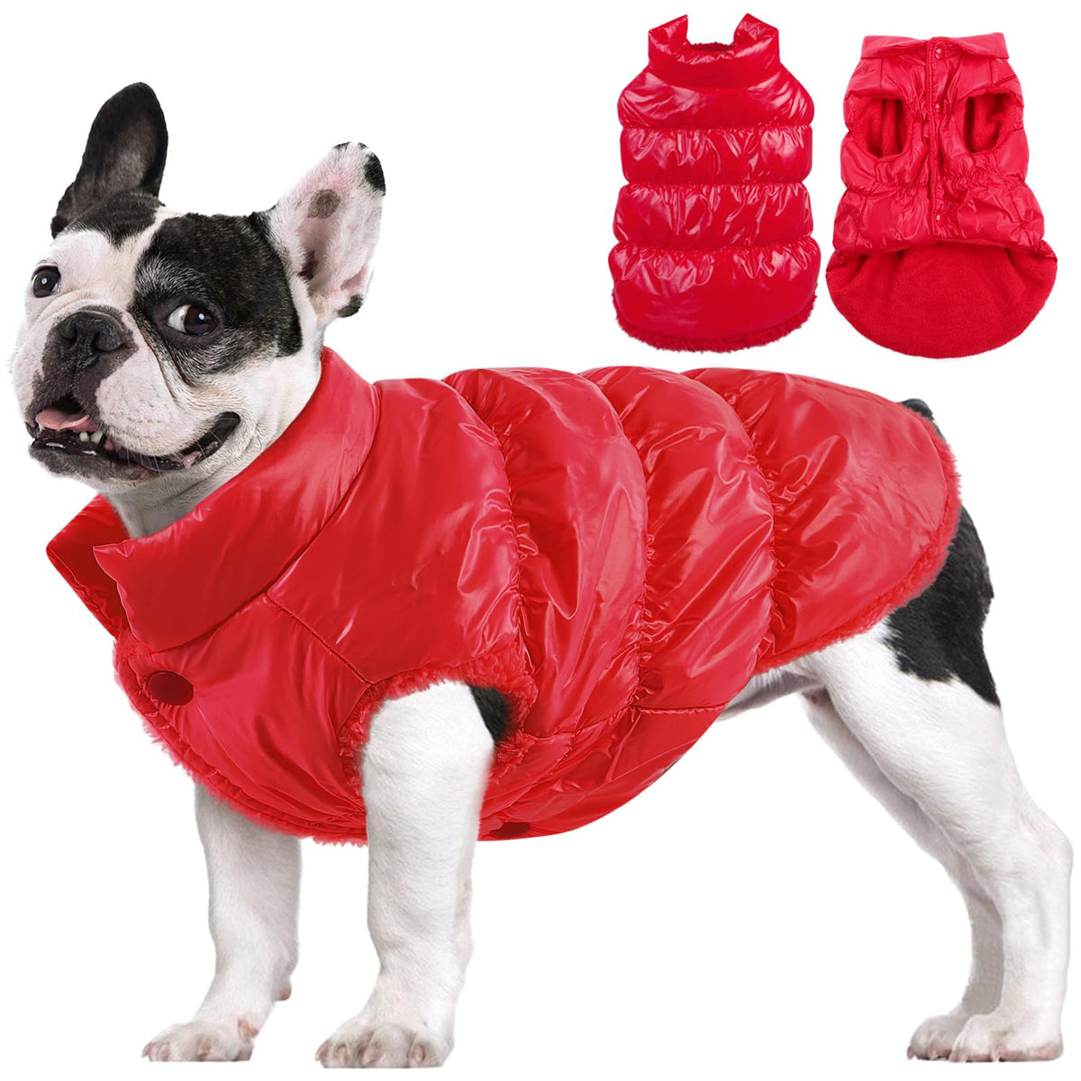 Chaqueta AOFITEE para perro, frontal, cálida para paseos invernales.
