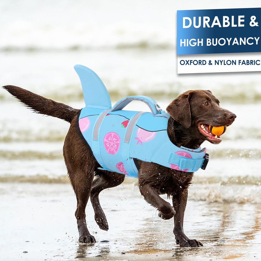 Chaleco AOFITEE para perro con tiburón, asa de rescate para ayuda al salir del agua