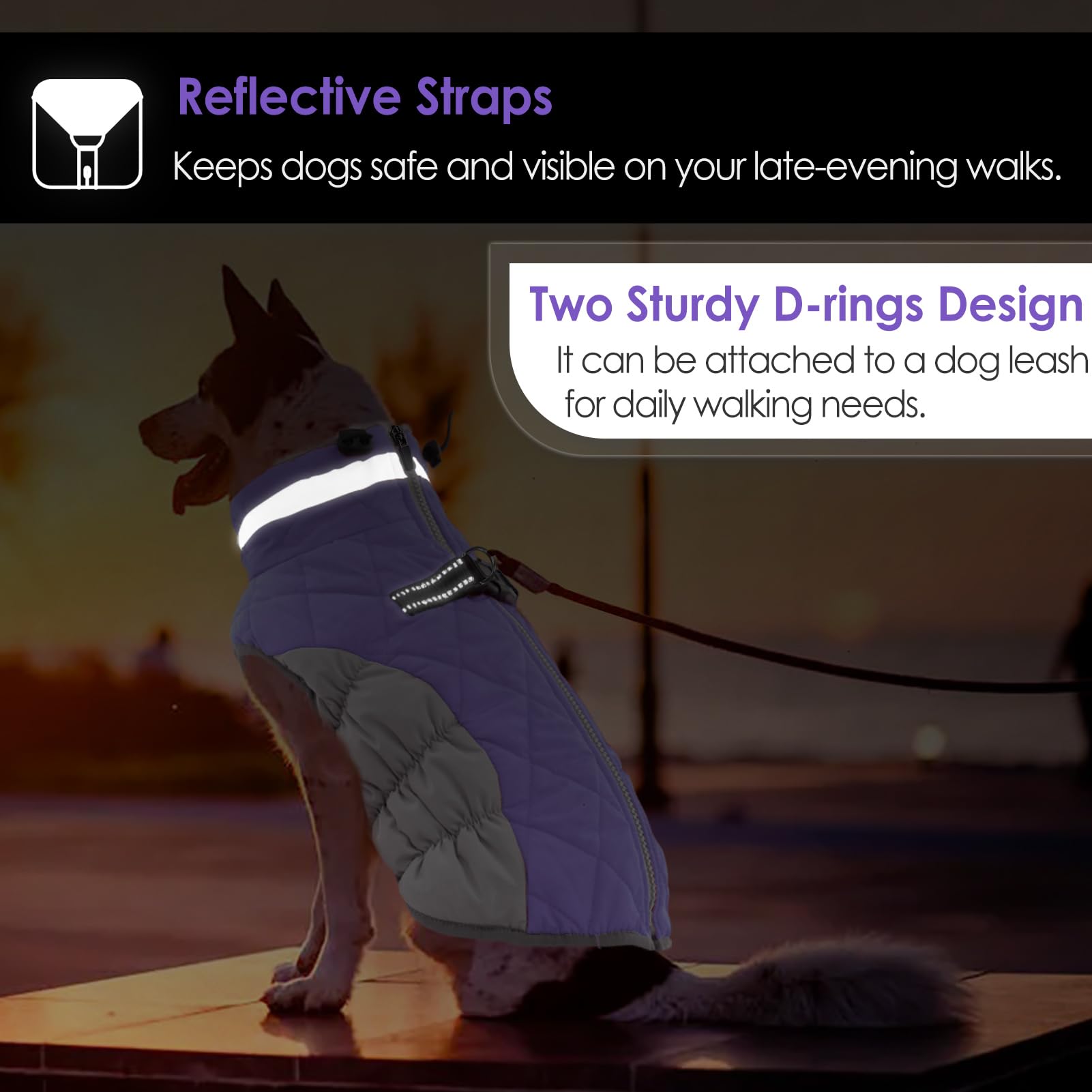 Chaqueta AOFITEE con diseño de vientre elástico, ajuste cómodo para perros activos.