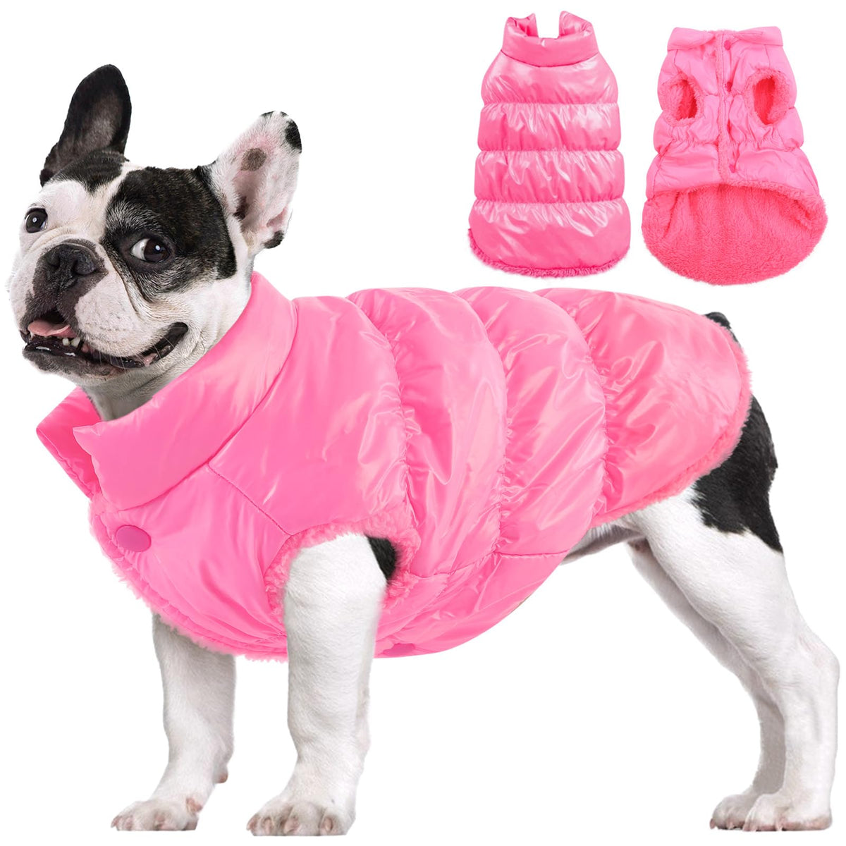 AOFITEE chaqueta para perro, vista frontal, ayuda a mantener el frío a raya en paseos.