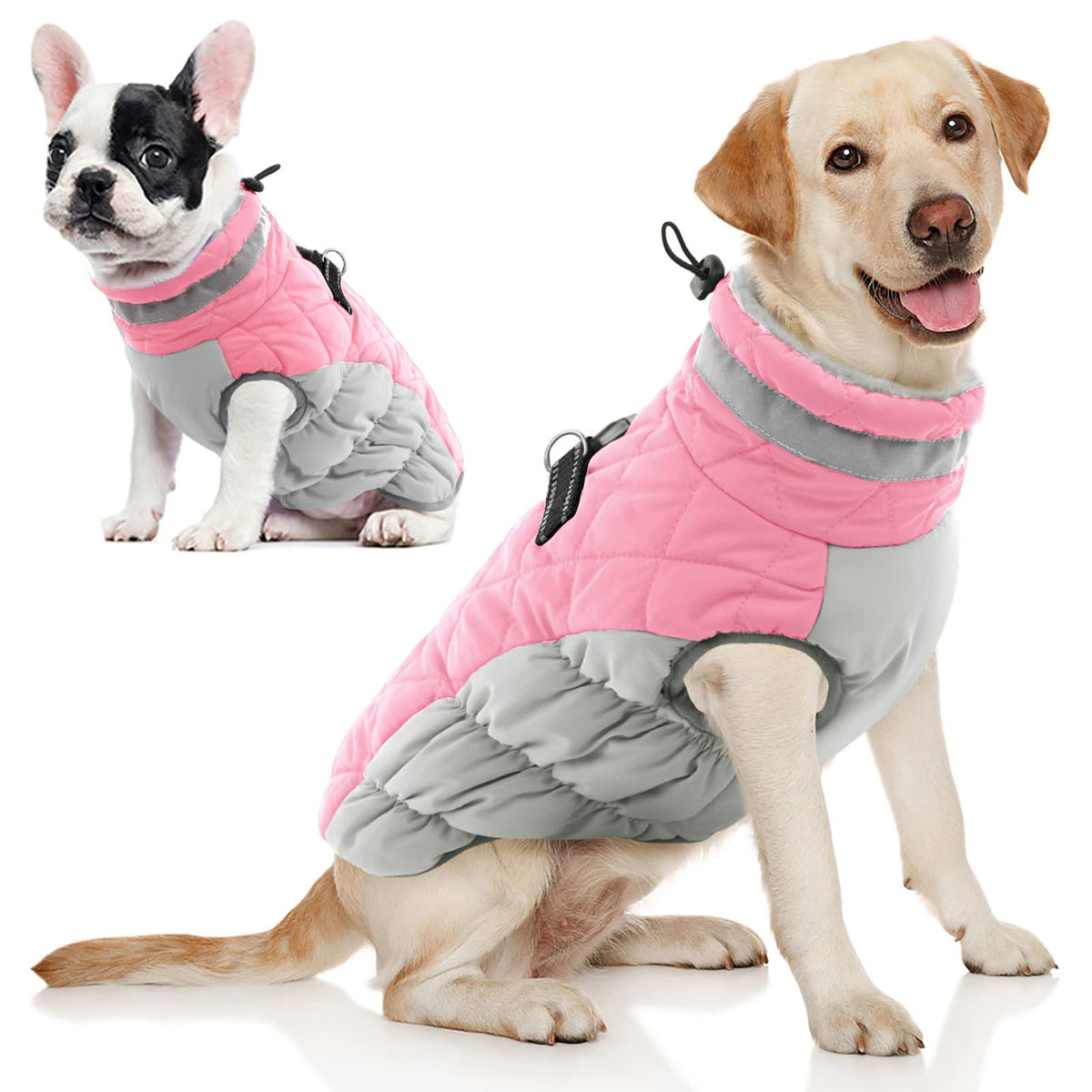 AOFITEE chaqueta para perros, frente, ideal para paseos en frío.