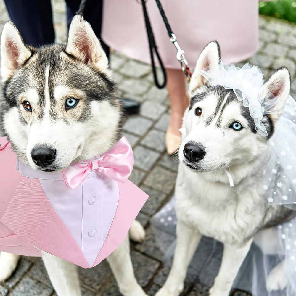 AOFITEE diseño-clásico para fiestas y sesiones de fotos