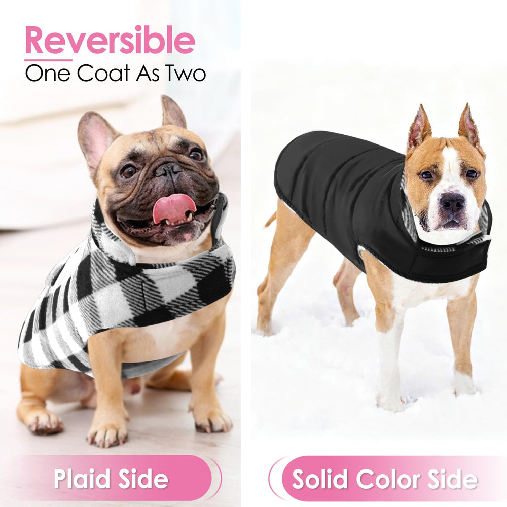 Cuello alto de la capa AOFITEE mantiene al perro cómodo.