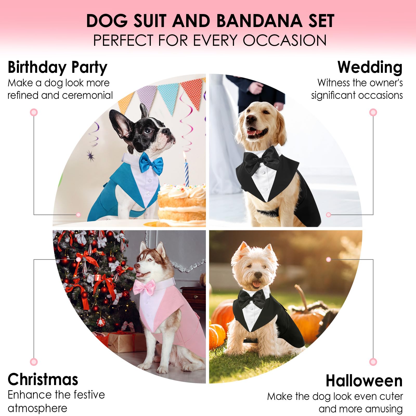 AOFITEE perros de distintas razas lucen elegantes en fiestas.