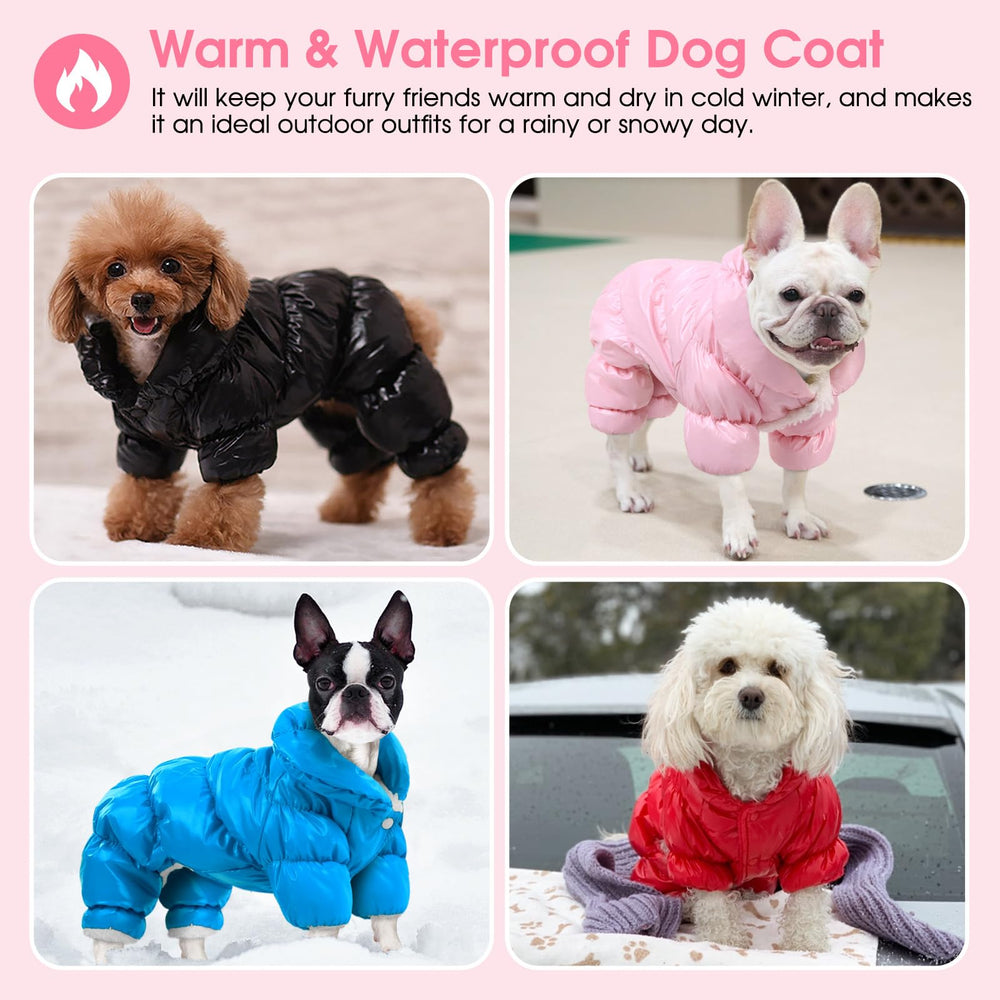 Ropa de invierno resistente al agua y al viento para perro pequeño AOFITEE.