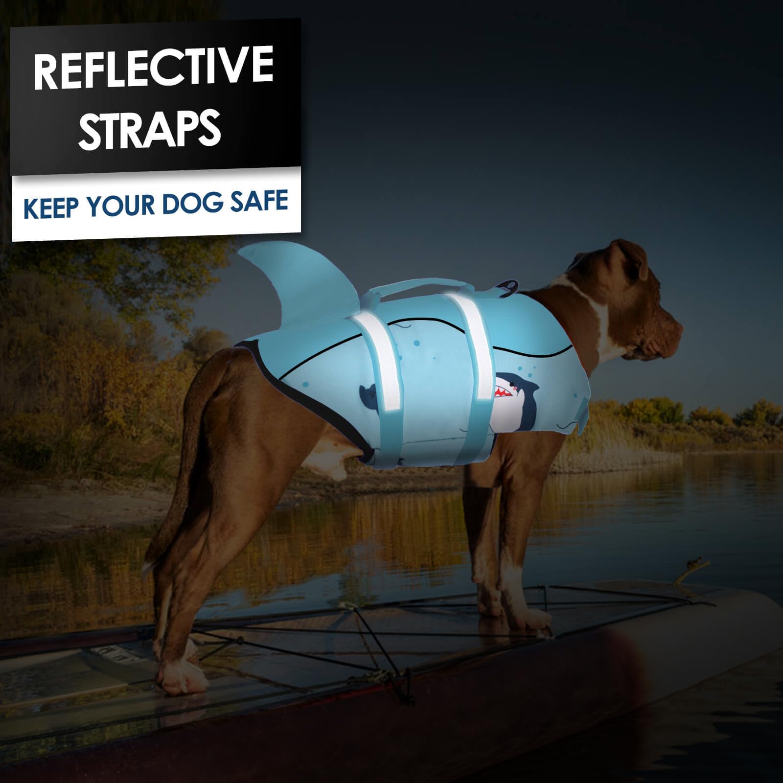 AOFITEE: Tallas disponibles para cachorros hasta razas grandes.