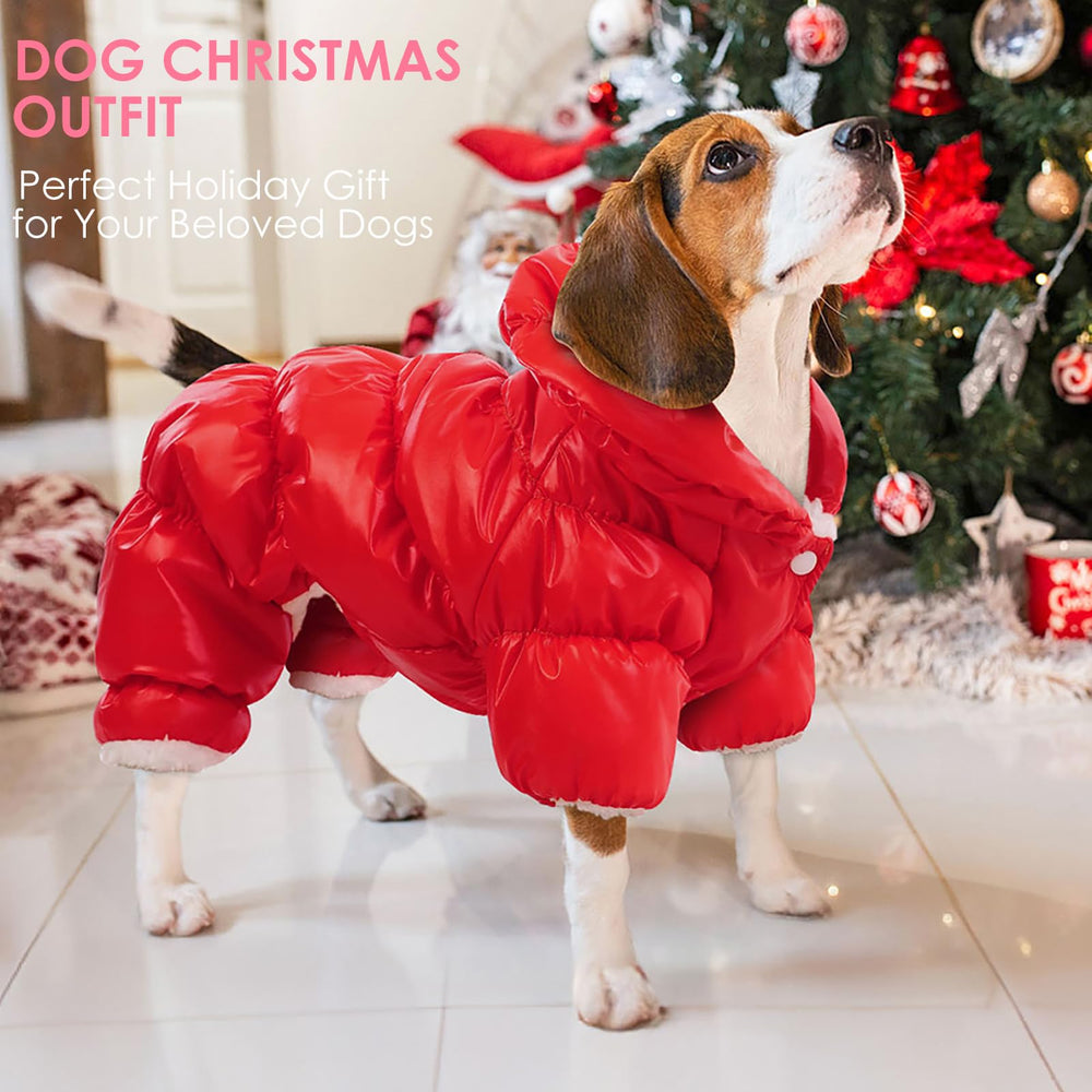 Traje de invierno AOFITEE para caminatas y sesiones de fotos de tu perro.