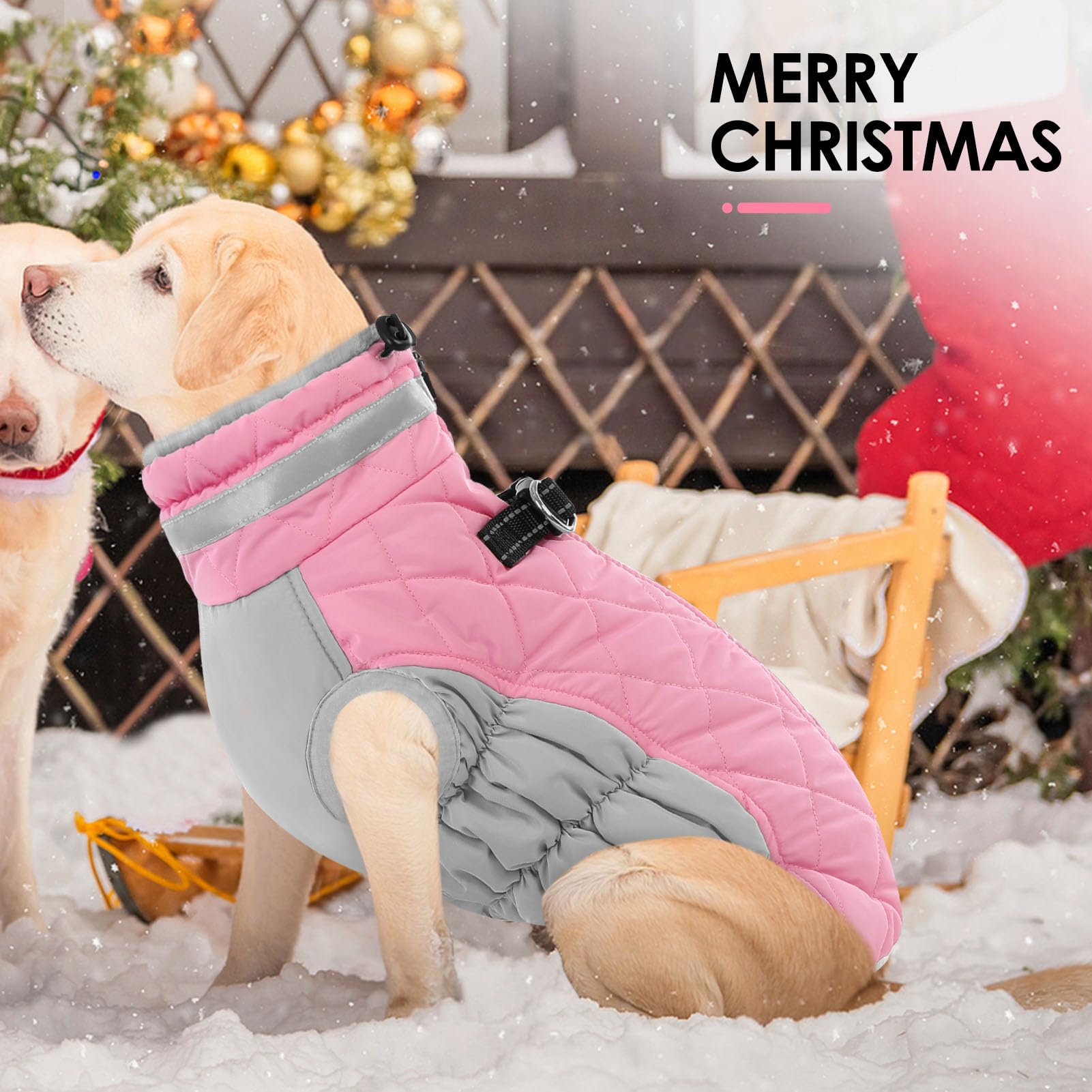 AOFITEE uso exterior en invierno para perros activos.