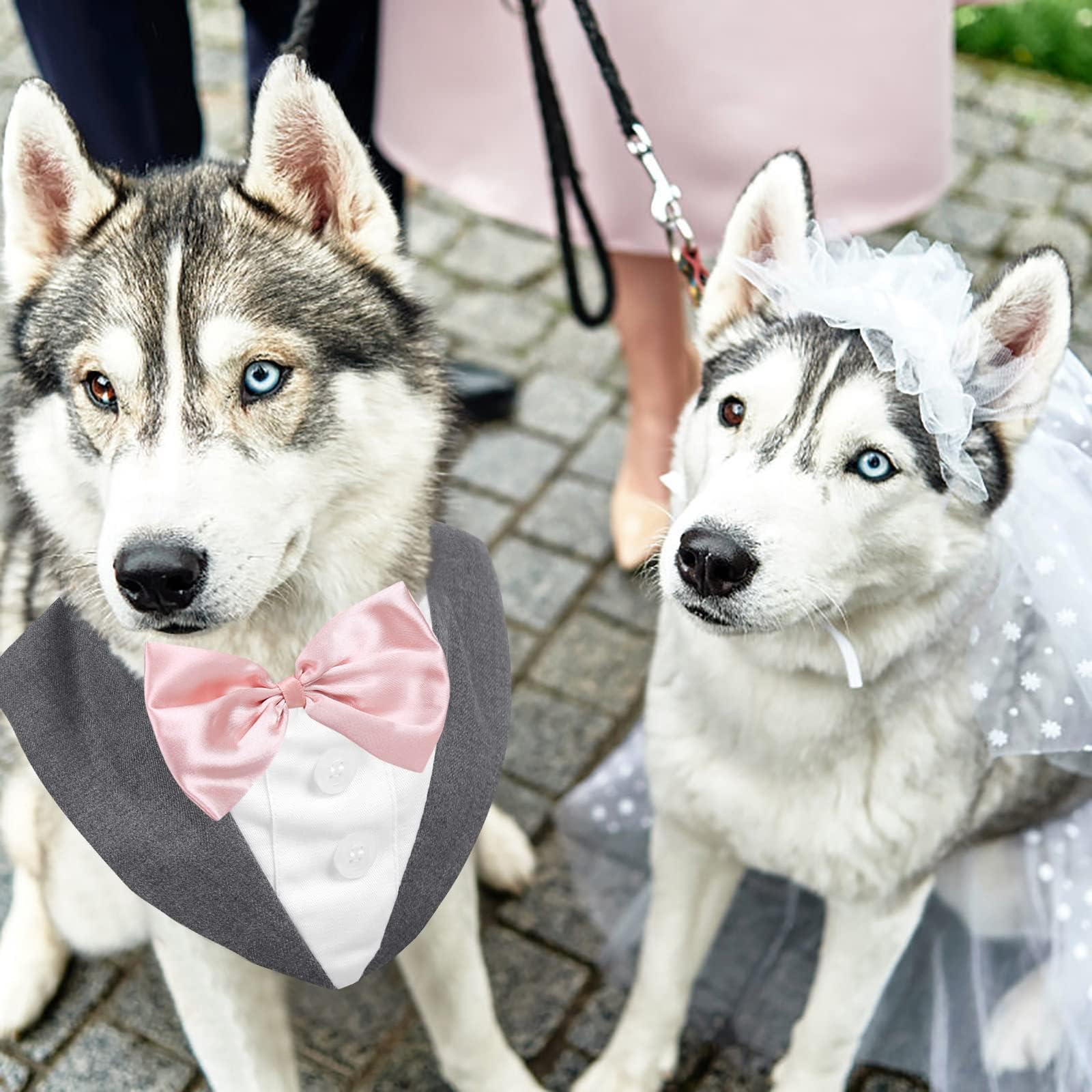 AOFITEE ideal para bodas, cumpleaños y sesiones de fotos.