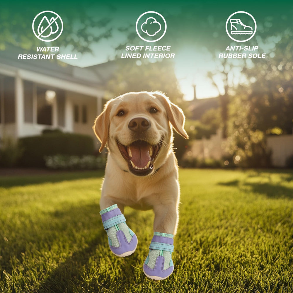 Protección para patas todo clima de AOKOWN, apto para inviernos y veranos.