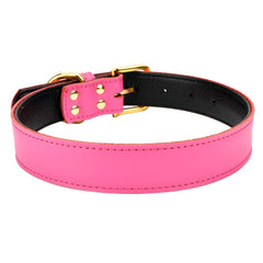 AoLove collar con anilla en D resistente para mayor seguridad en mascotas activas.