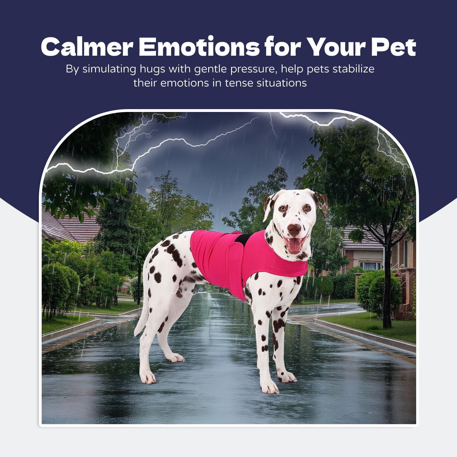 AOOLMOL chaleco ansiedad perro en distintas situaciones, ideal para viajes y encuentros