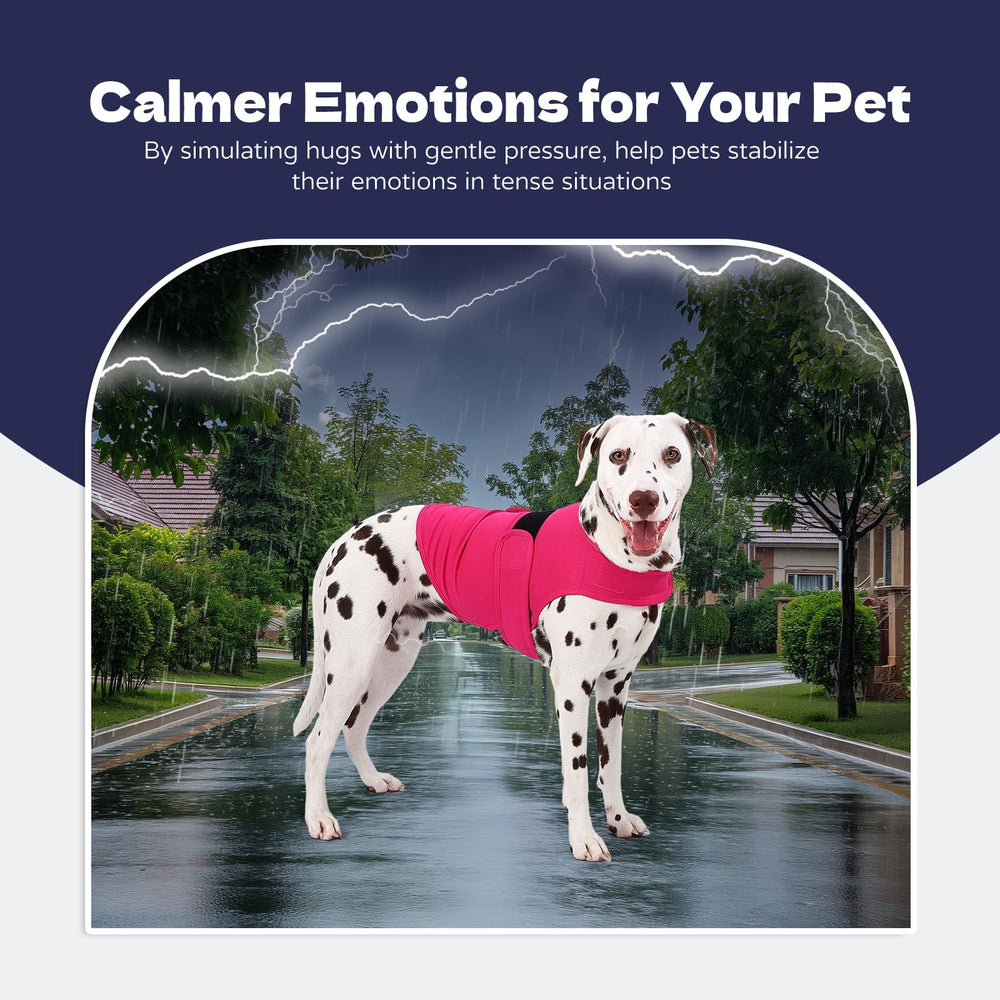 AOOLMOL chaleco ansiedad perro en distintas situaciones, ideal para viajes y encuentros